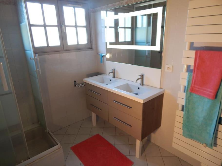 St Malo Maison Avec Jardin Proche Gare Plage Intramuros Chien Admis Parking Gratuit Saint-Malo Ngoại thất bức ảnh